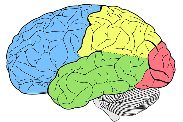 Bipolar Risk Factors