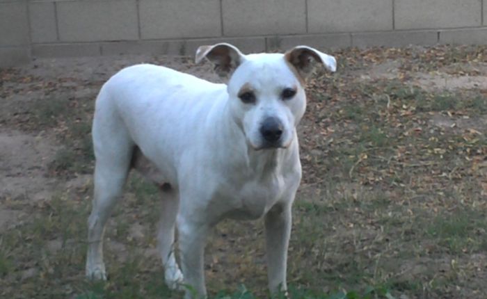 More Problems For&nbsp;Cash