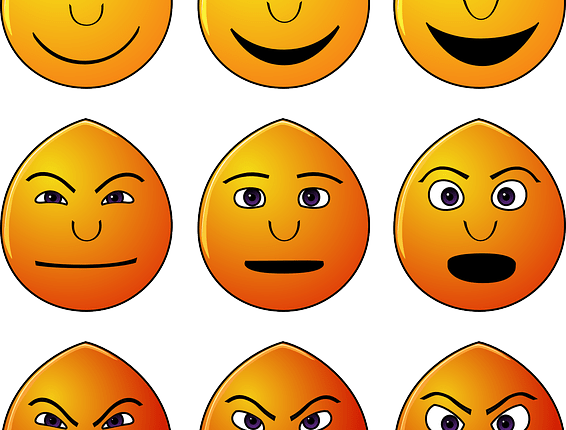 IBPF: Monitoring and Managing&nbsp;Emotions