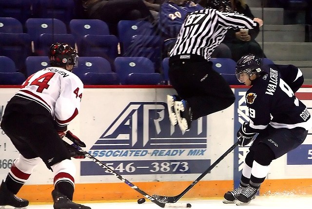 Another Coyotes Hockey&nbsp;Game