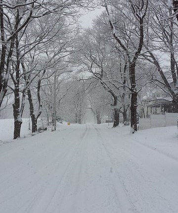 Arrived In Connecticut