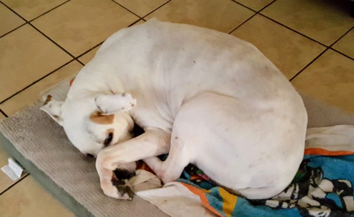 Cash Is Fully&nbsp;Recovered