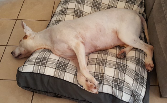 Busy and Awesome Day&nbsp;Yesterday