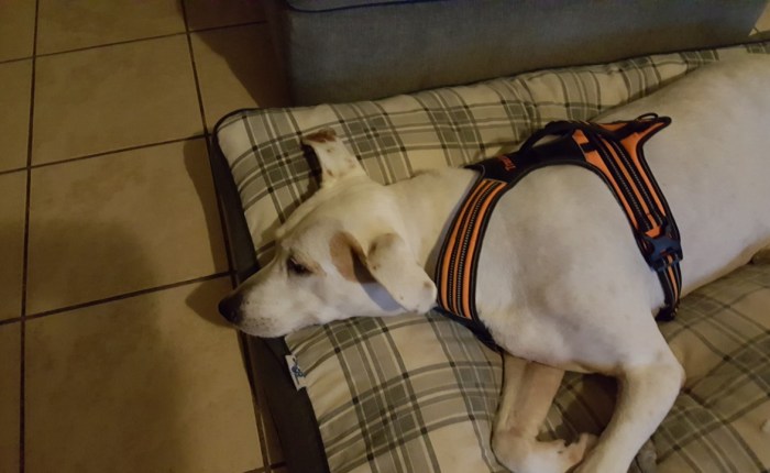 Cash Is Feeling&nbsp;Sick