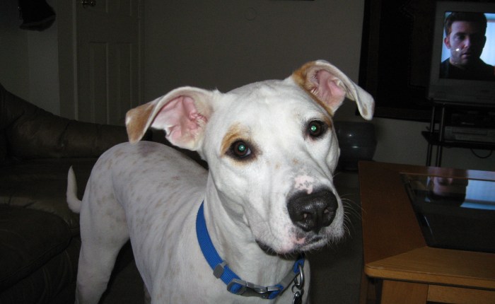 Today Was Cash’s Last&nbsp;Day