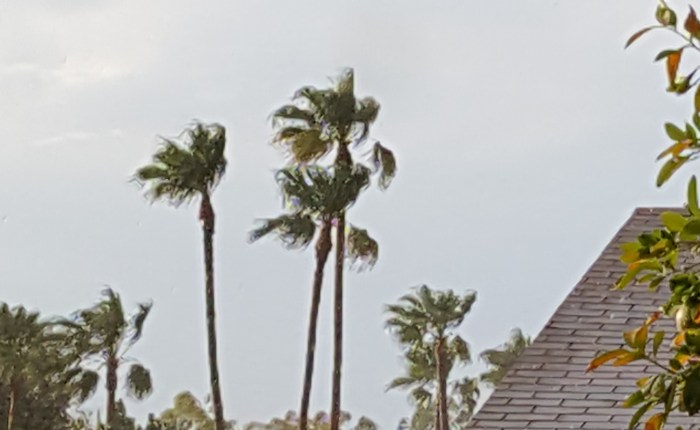 What’s Happening Today