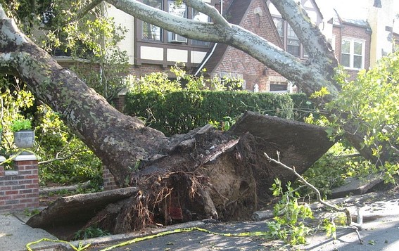 Storm Damage